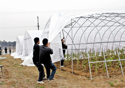 供应内江蔬菜草莓大棚膜 葡萄避雨棚 西瓜大棚膜厂家批发电话