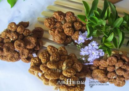 批发特级滑子菇 珍珠菇 干货 精选 食用菌 古田特产 250g