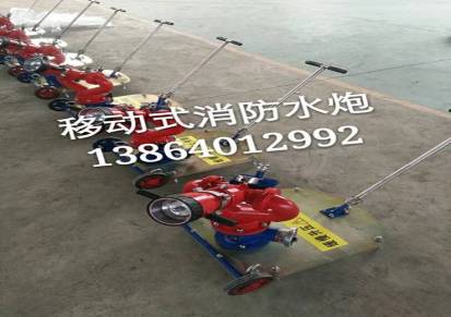 供应滨州-PSY20-40移动式消防水炮