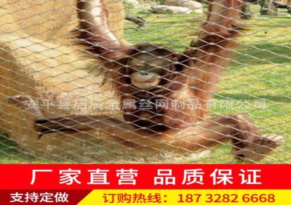 304 316L不锈钢绳网 动物园狮子老虎笼舍网 生产厂家