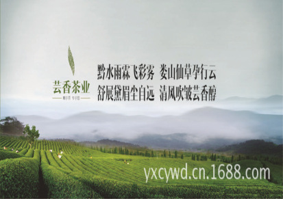 贵州茶叶 湄潭翠芽 绿茶 500g礼盒装 贵州遵义特产