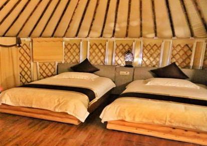 户外蒙古包厂家 河南帐篷的价格批发定制质量可靠 金雨发