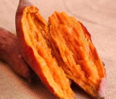 广东高产量红薯 品质优 专业有机番薯批发