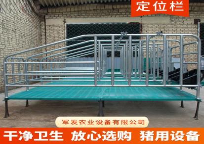 军发农业厂家现货母猪产床单体双体定位栏保育床栏畜牧养殖器械