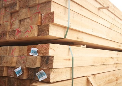 批发销售桥梁工程用木方 优质白松建筑木方进口原木加工