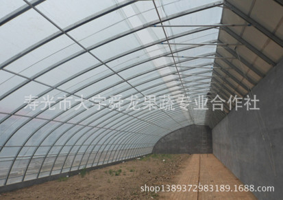 蔬菜日光温室几型钢砖墙大棚 塑料大棚日光温室 冬暖式温室