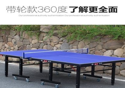 室内大彩虹乒乓球台标准比赛乒乓球桌高密度纤维板乒乓球案子