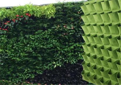 羊毛毡植物袋 毛毡绿植装饰墙 惠中厂家生产