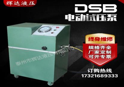 试压机-DSB电动测试泵-辉达液压厂家直销-打压泵