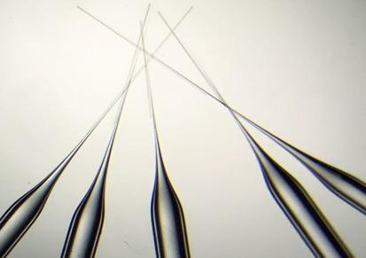 美国玻璃针Sutter玻璃毛细管显微注射微电极