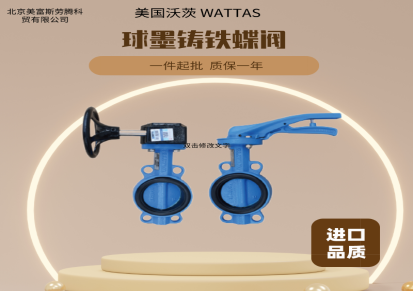沃茨 WATTS 公称压力1.6MPa材质铸铁给排水阀门球铁蝶阀