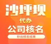 重庆沙坪坝代办分公司营业执照注册/专业办理