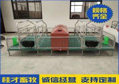 河北桂才养猪设备价格低猪用产床全复合加厚热镀锌钢管母猪产床