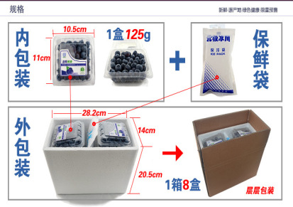田龙达蓝莓鲜果现采现发 全程顺丰偏远慎拍（125g/盒）