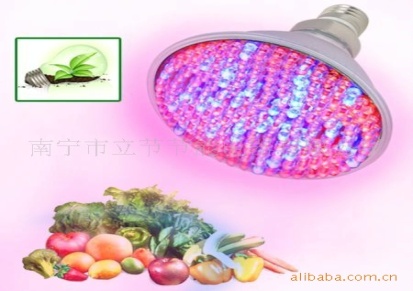 低价大量供应PAR38-10W小功率LED植物生长灯
