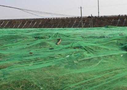 崇松 盖土防尘网 工地裸土覆盖三针绿网 建筑环保绿化网