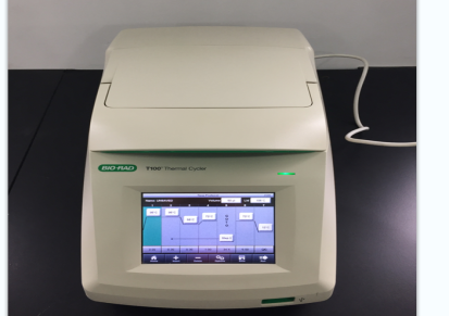 木森·二手美国伯乐Bio-RadT100荧光定量仪/梯度PCR仪