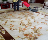 地毯清洗保洁 酒店办公室家庭地毯养护 俊楠上门清洗 设备齐全