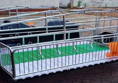 宏栋畜牧 2.2m*3.6*0.9m塑料保育床 复合板加厚母猪产床 定位栏保育床