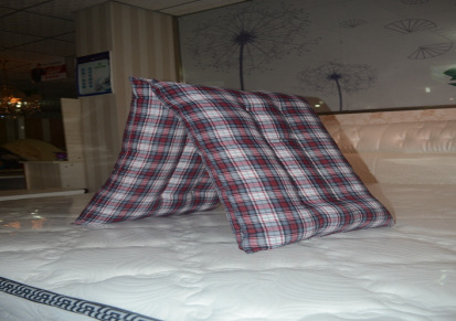 厂家现货供应长方形格子护颈枕中空聚酯纤维枕芯特价批发床上用品