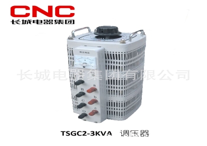 长城电器 厂家直销 TSGC2-3000