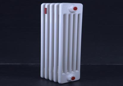 英俊德亿 GZ505 钢五柱散热器 落地式暖气片 钢柱暖气片 厂家定制