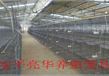 河北鸽子笼 厂家批发肉鸽笼 3层12位加密鸽子笼 亮华鸽笼厂