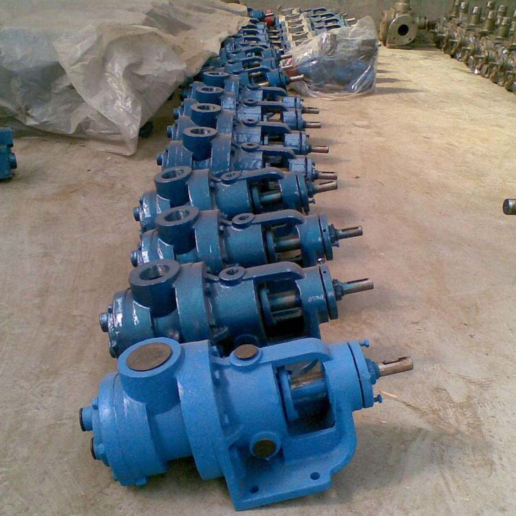 凯盛规格齐全NYP系列高粘度泵 内环式转子泵供应
