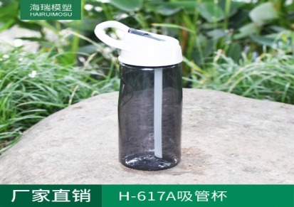 厂家直销 H-617A透明便携运动水壶 便携户外水杯 太空杯 不含BPA