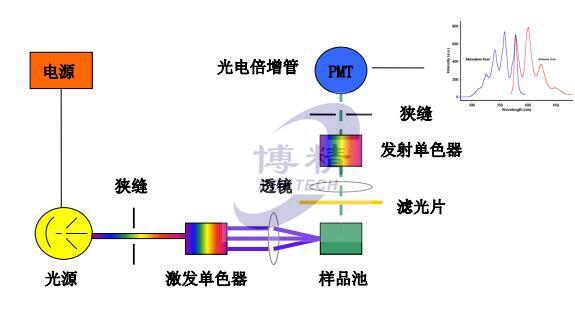 分子荧光结构图-博精科技