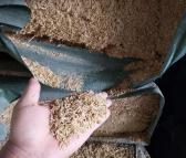大颂农业销售压缩稻壳稻壳粉糠面牧场养殖垫料改善土壤常年有货