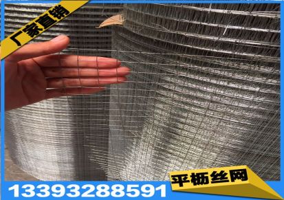 建筑铁丝电焊网 镀锌铁丝网 外墙保温铁丝网 出货快质量好