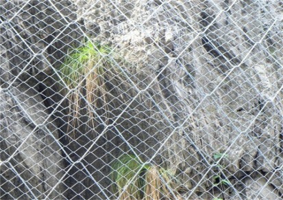SNS边坡防护网 防山体落石网 环形被动网 抗冲击好 专业环保