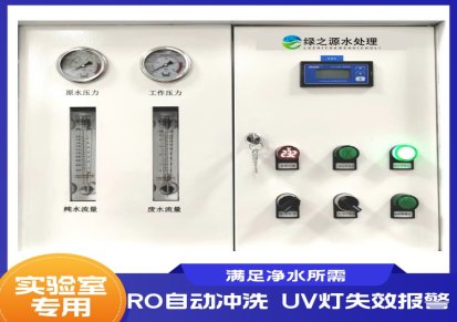 湖南检验科用纯水机LZY-100L/120L 实验室超纯水设备定制