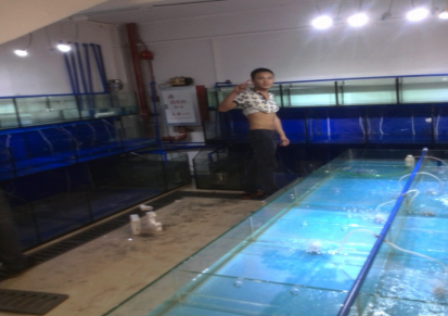 广州海鲜鱼池厂、广州玻璃海鲜鱼池