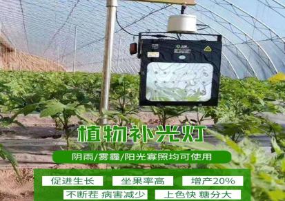 红皎阳植物补光灯生长灯 西红柿蔬菜补光灯 HQ01 增产30%