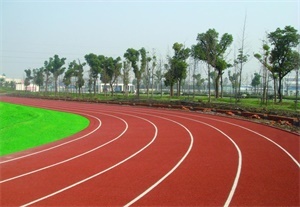 塑胶跑道造价 济南塑胶跑道 天津金康体育设施 