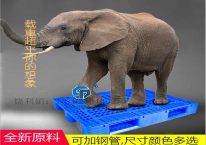 新款12510川字网格塑料托盘厂家批发价格