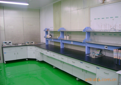 厂家直供高品质钢木实验室边台 实验室家具 实验台