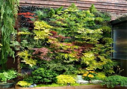 绿植墙围挡 立体墙面绿化 围挡植物墙高架桥花卉景观植物栽培 圣恩园艺