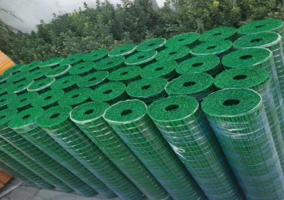 河北安平荷兰网厂家 发泡铁丝网批发 养殖围栏价格