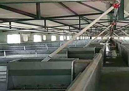 郑州汉森厂家供应 猪用不锈钢单面 双面料槽 干湿喂料槽 乳猪采食槽