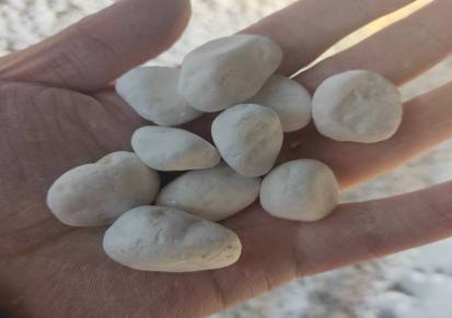 白色鹅卵石厂家直销白石子别墅园艺铺面白色鹅卵石透水地坪水洗石白米石