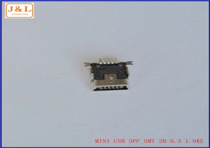 MINI USB 5PF SMT 2B 0.3 1.0柱