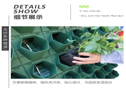 东莞全新植物墙容器定制 绿植墙