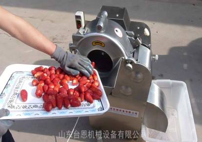 微冻草莓切丁机冷冻草莓加工设备切丁标准成型率高台恩机械