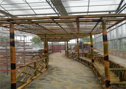 江苏南京江宁立体农业厂家设计各种温室大棚定制策划鸟巢温室建设温控大棚厂家