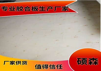 杨木包装箱板 长期销售 硕森5厘至40厘杨木沙发板 杨木沙发板价格实惠