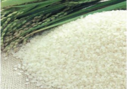 150自动米饭生产线 蒸饭机 米饭线 厨房设备 米饭生产线 炊具