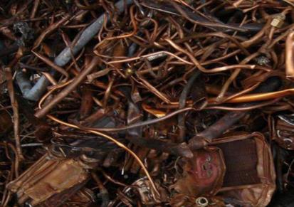 万年树 废铜大量回收